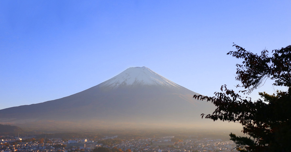 食藥法-攜藥返臺要小心